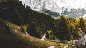 Preview wallpaper mountains, forest, path, landscape, nature