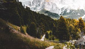 Preview wallpaper mountains, forest, path, landscape, nature