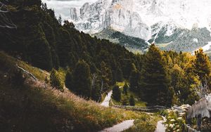 Preview wallpaper mountains, forest, path, landscape, nature