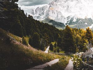 Preview wallpaper mountains, forest, path, landscape, nature