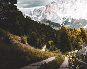 Preview wallpaper mountains, forest, path, landscape, nature
