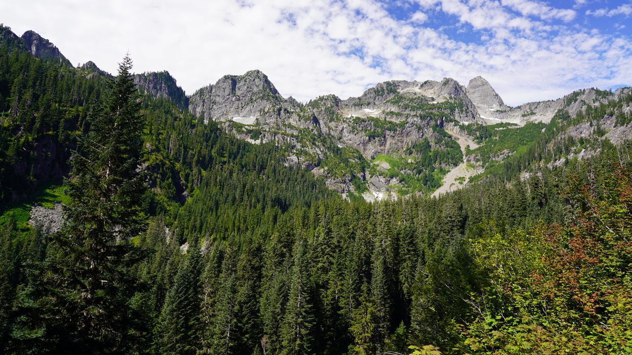 Wallpaper mountains, forest, peak, slope, trees