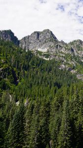 Preview wallpaper mountains, forest, peak, slope, trees