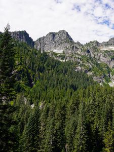 Preview wallpaper mountains, forest, peak, slope, trees