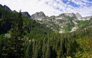 Preview wallpaper mountains, forest, peak, slope, trees