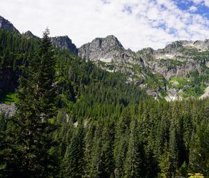 Preview wallpaper mountains, forest, peak, slope, trees