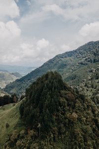 Preview wallpaper mountains, forest, peaks, slopes, landscape