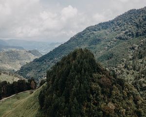 Preview wallpaper mountains, forest, peaks, slopes, landscape