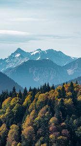 Preview wallpaper mountains, forest, peaks, fog, landscape