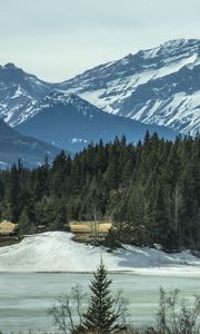 Preview wallpaper mountains, forest, pine, snow, winter, nature