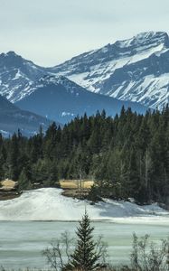 Preview wallpaper mountains, forest, pine, snow, winter, nature