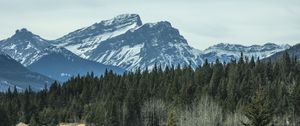 Preview wallpaper mountains, forest, pine, snow, winter, nature