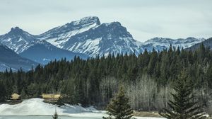 Preview wallpaper mountains, forest, pine, snow, winter, nature