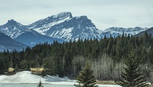 Preview wallpaper mountains, forest, pine, snow, winter, nature