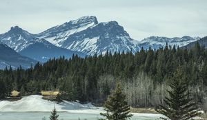 Preview wallpaper mountains, forest, pine, snow, winter, nature