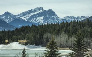 Preview wallpaper mountains, forest, pine, snow, winter, nature