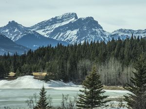 Preview wallpaper mountains, forest, pine, snow, winter, nature