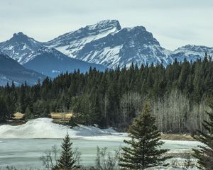 Preview wallpaper mountains, forest, pine, snow, winter, nature