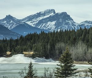 Preview wallpaper mountains, forest, pine, snow, winter, nature