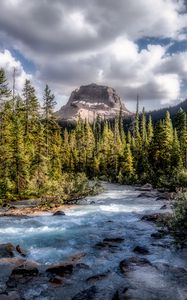 Preview wallpaper mountains, forest, river, stream