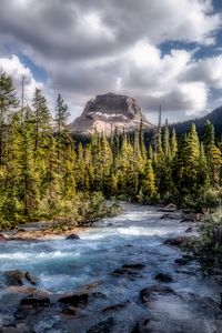 Preview wallpaper mountains, forest, river, stream