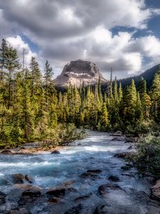 Preview wallpaper mountains, forest, river, stream