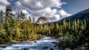 Preview wallpaper mountains, forest, river, stream