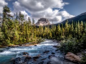 Preview wallpaper mountains, forest, river, stream