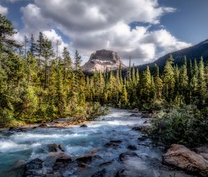 Preview wallpaper mountains, forest, river, stream