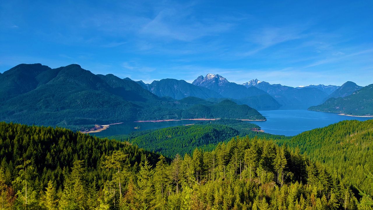 Wallpaper mountains, forest, river, aerial view, landscape