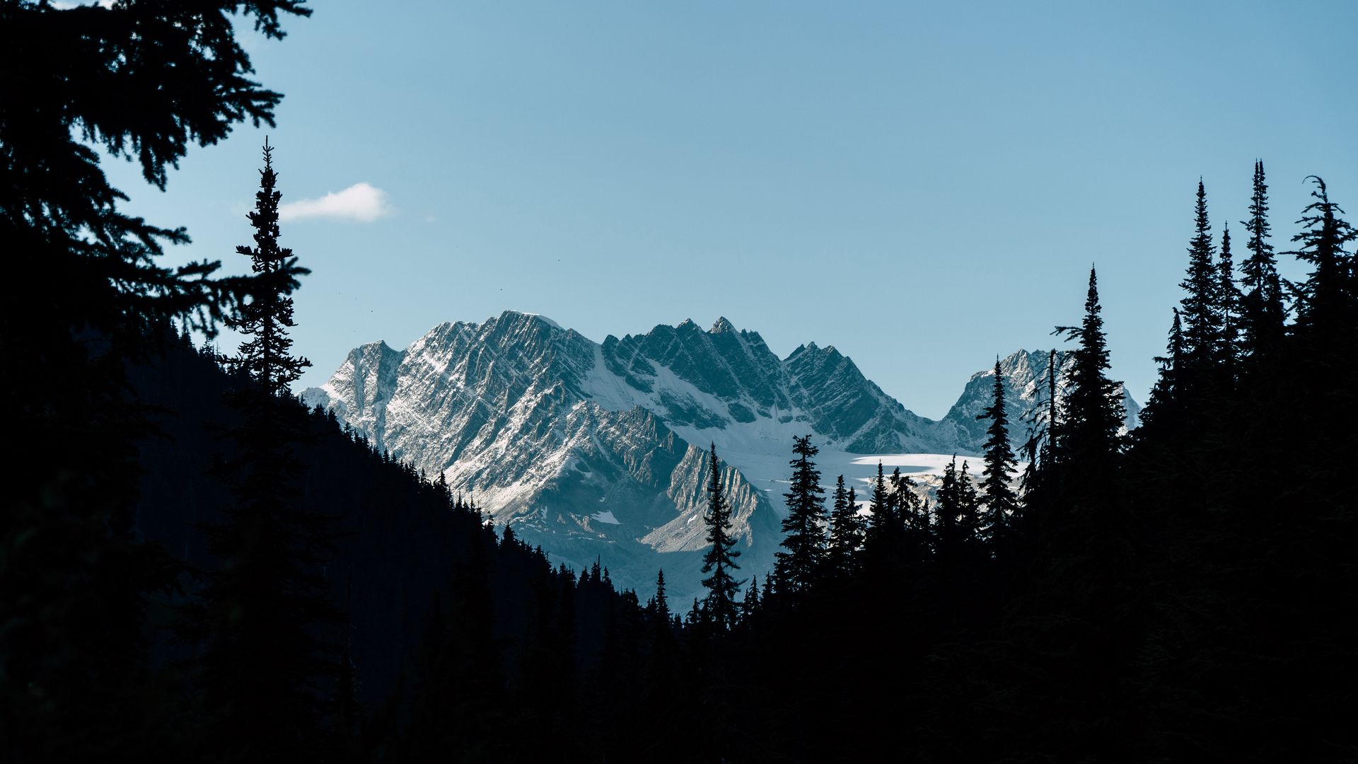 1920x1080 Wallpaper mountains, forest, shadow, contrast, dark