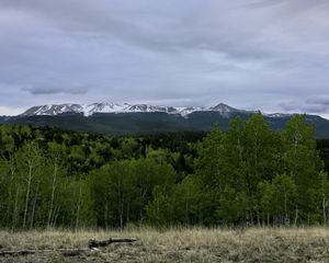 Preview wallpaper mountains, forest, sky, nature