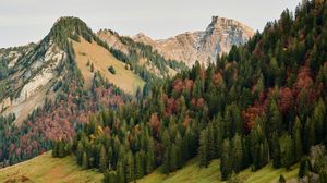 Preview wallpaper mountains, forest, slope, trees, autumn