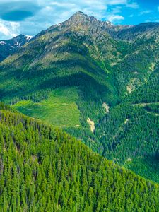 Preview wallpaper mountains, forest, slope, landscape, green