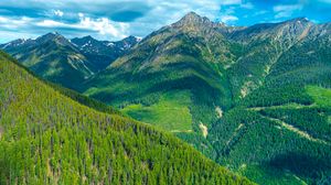 Preview wallpaper mountains, forest, slope, landscape, green