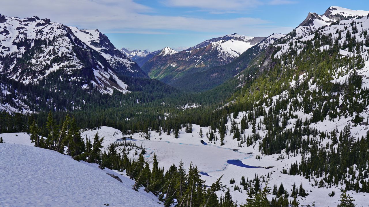 Wallpaper mountains, forest, slope, snow, nature