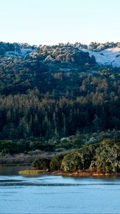 Preview wallpaper mountains, forest, slope, trees, lake