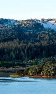 Preview wallpaper mountains, forest, slope, trees, lake