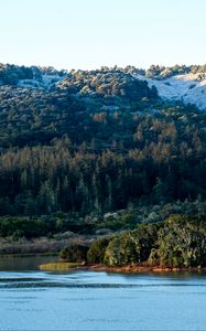 Preview wallpaper mountains, forest, slope, trees, lake