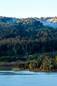 Preview wallpaper mountains, forest, slope, trees, lake