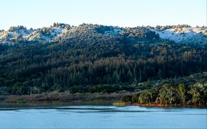 Preview wallpaper mountains, forest, slope, trees, lake