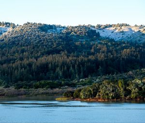 Preview wallpaper mountains, forest, slope, trees, lake