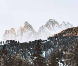 Preview wallpaper mountains, forest, snow, landscape, nature