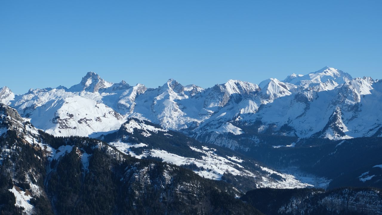 Wallpaper mountains, forest, snow, nature, landscape