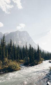 Preview wallpaper mountains, forest, spruce, trees, river, stream