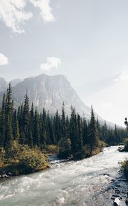 Preview wallpaper mountains, forest, spruce, trees, river, stream