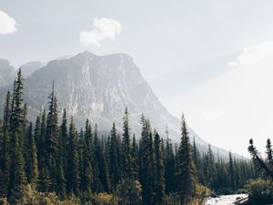 Preview wallpaper mountains, forest, spruce, trees, river, stream