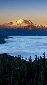 Preview wallpaper mountains, forest, spruce, clouds, valley