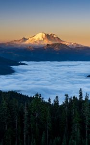 Preview wallpaper mountains, forest, spruce, clouds, valley