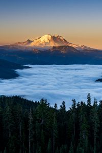 Preview wallpaper mountains, forest, spruce, clouds, valley